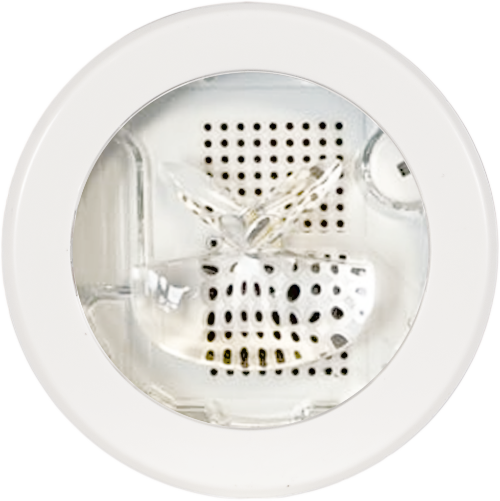 Space Supra Lente Asymetrical