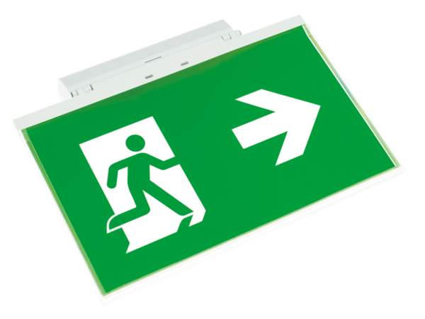 exitalya superficie 1