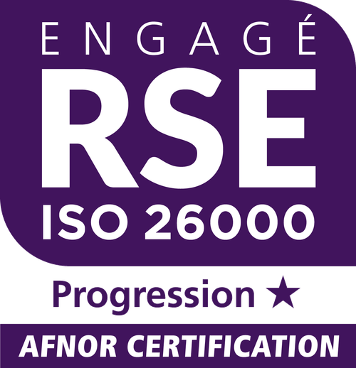 rse iso 26000