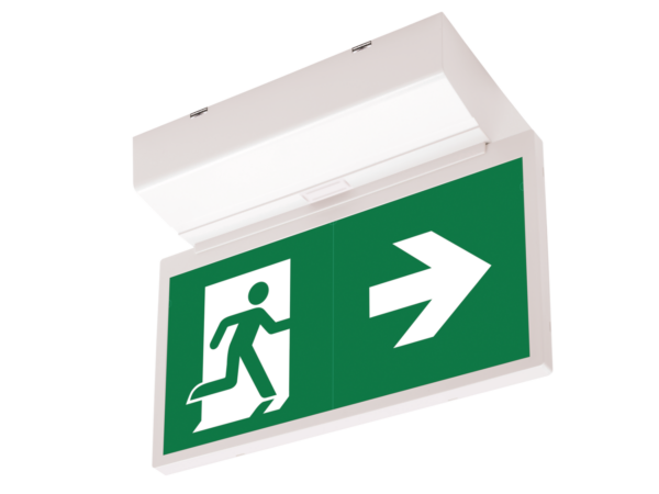 elya evacuation ceiling 1